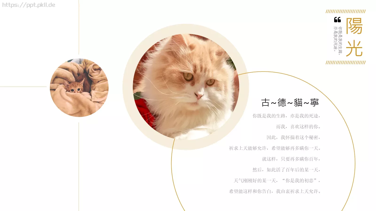 通用模板古德猫宁通用 第 14 页预览图