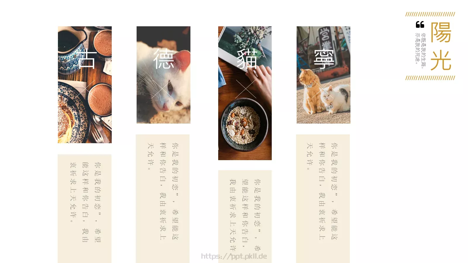 通用模板古德猫宁通用 第 13 页预览图