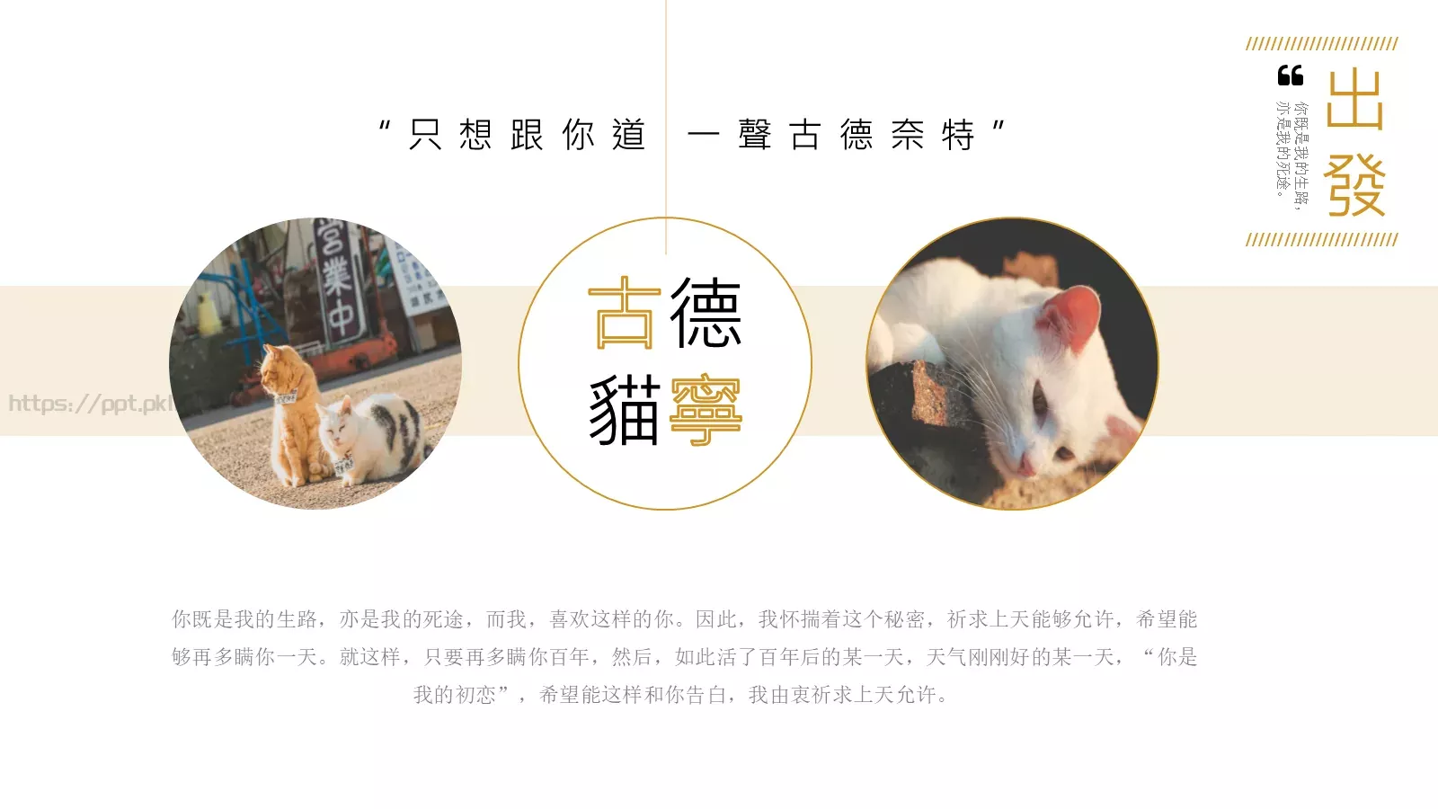 通用模板古德猫宁通用 第 20 页预览图