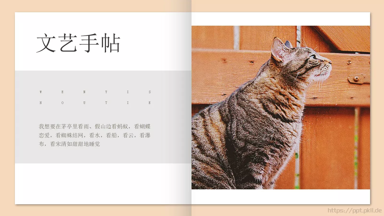 追逐影子的人文艺手帖画册PPT模板 第 12 页预览图