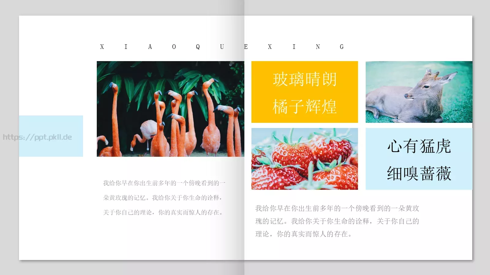 日系小清新画册PPT模板 第 3 页缩略图