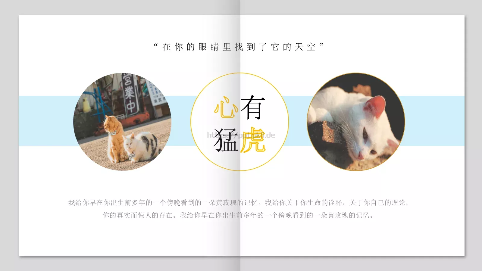 日系小清新画册PPT模板 第 10 页预览图