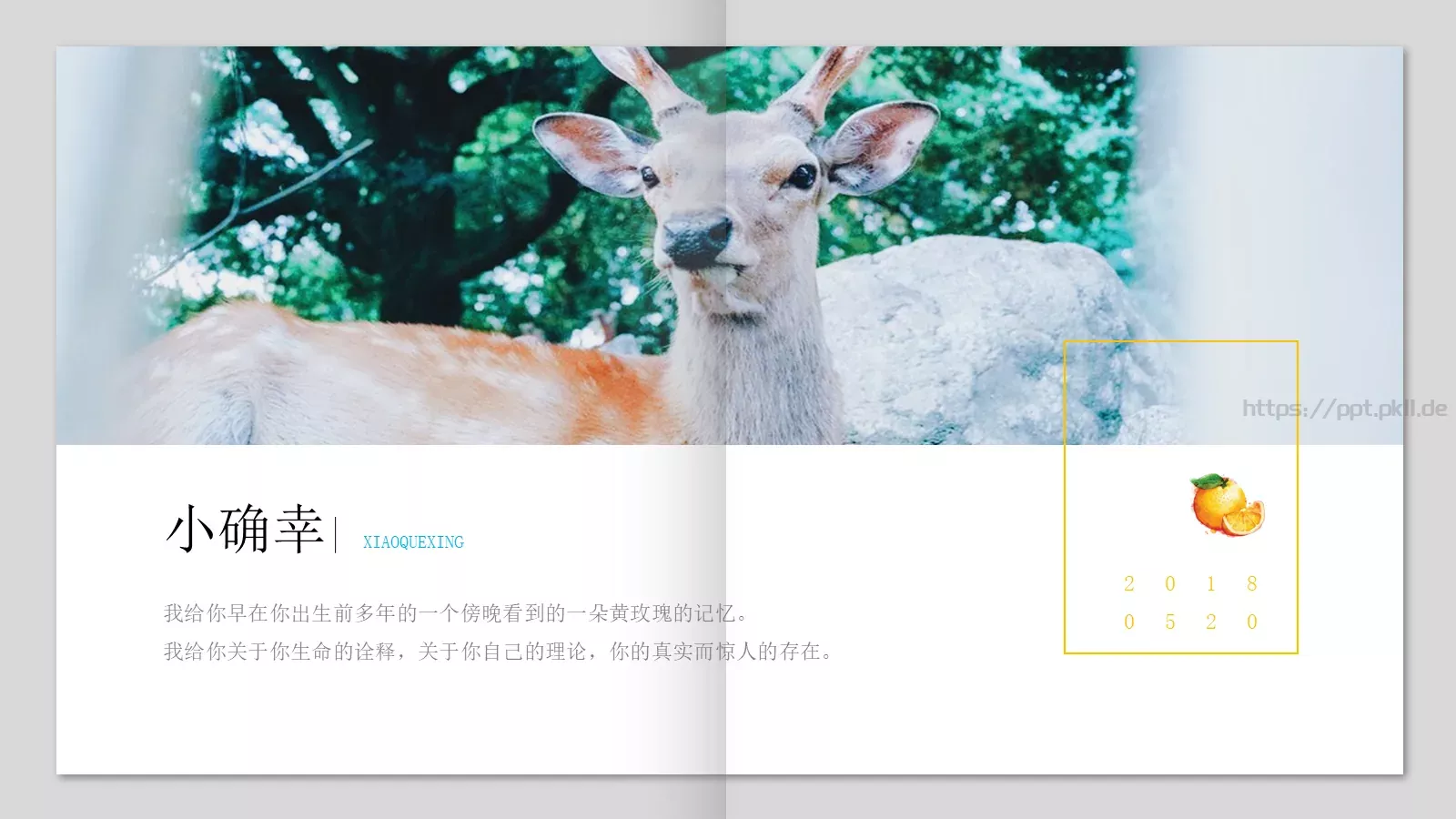 日系小清新画册PPT模板 第 18 页预览图