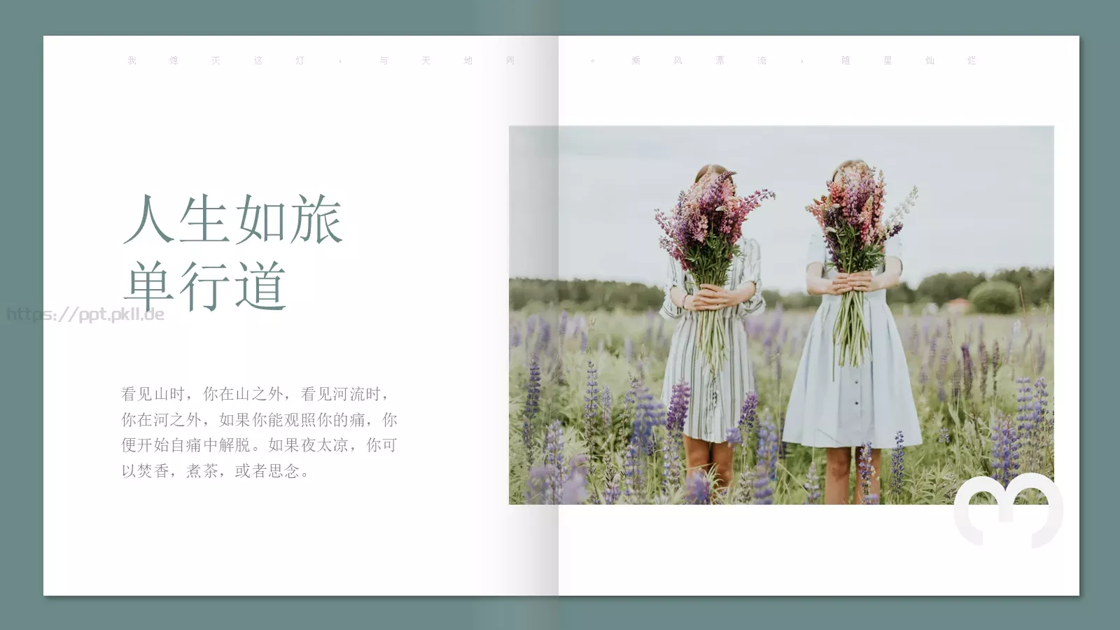 极简森林系画册PPT模板 第 3 页缩略图