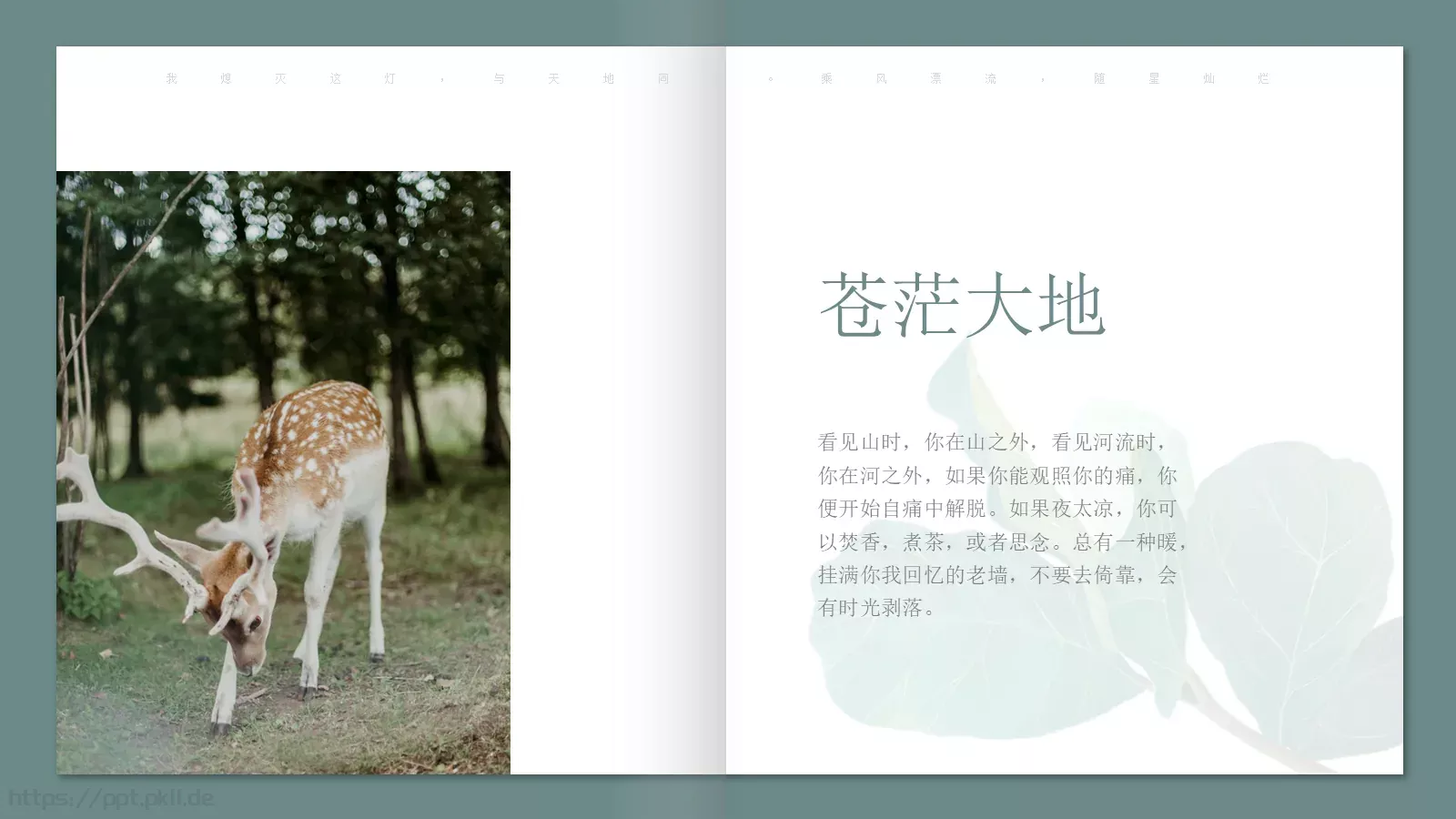 极简森林系画册PPT模板 第 2 页缩略图