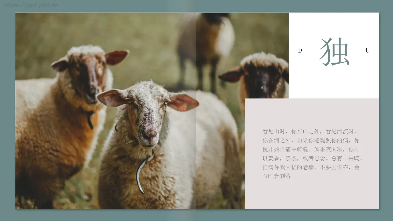 极简森林系画册PPT模板 第 6 页预览图