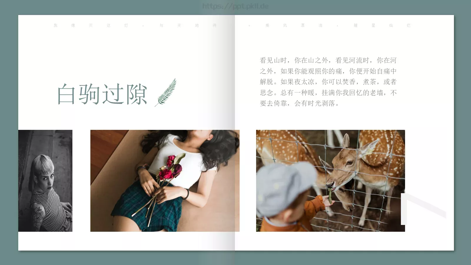 极简森林系画册PPT模板 第 7 页预览图