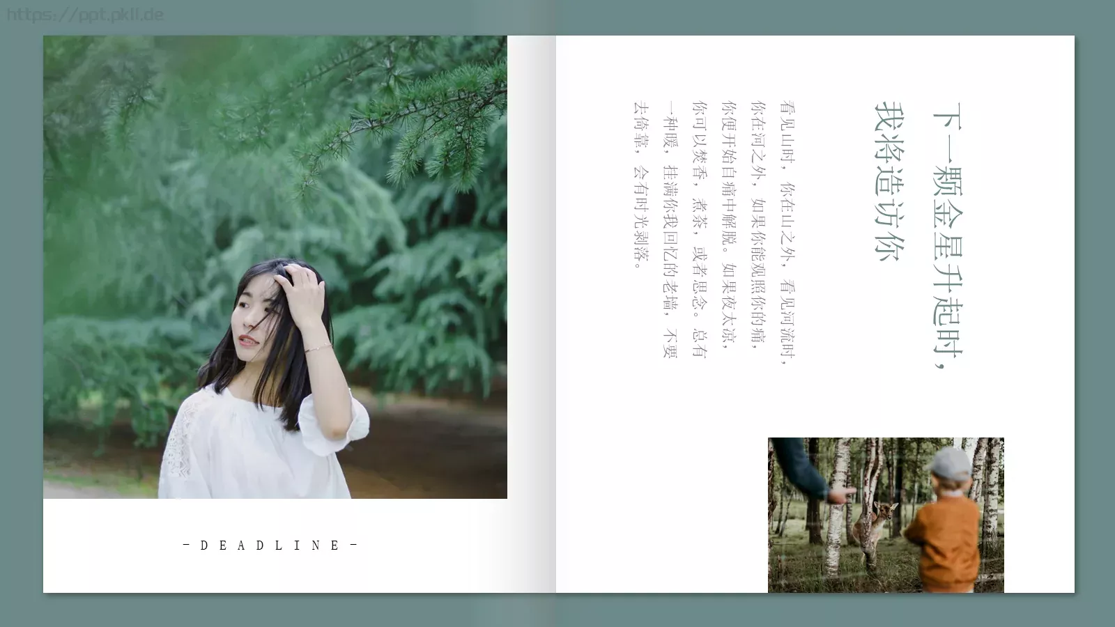 极简森林系画册PPT模板 第 9 页预览图