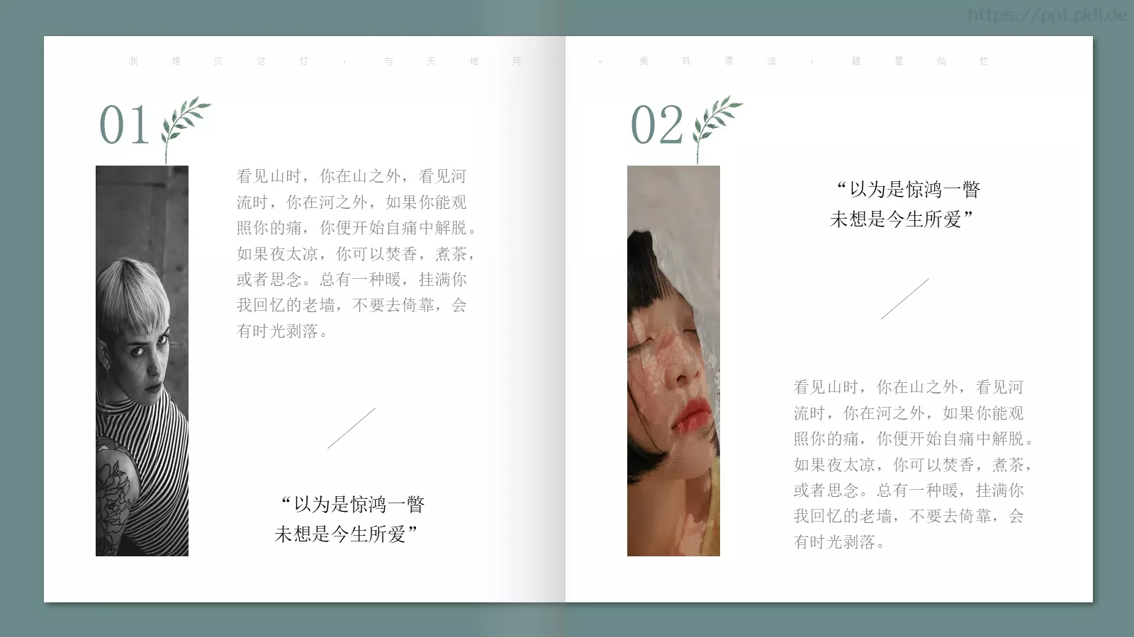 极简森林系画册PPT模板 第 10 页预览图