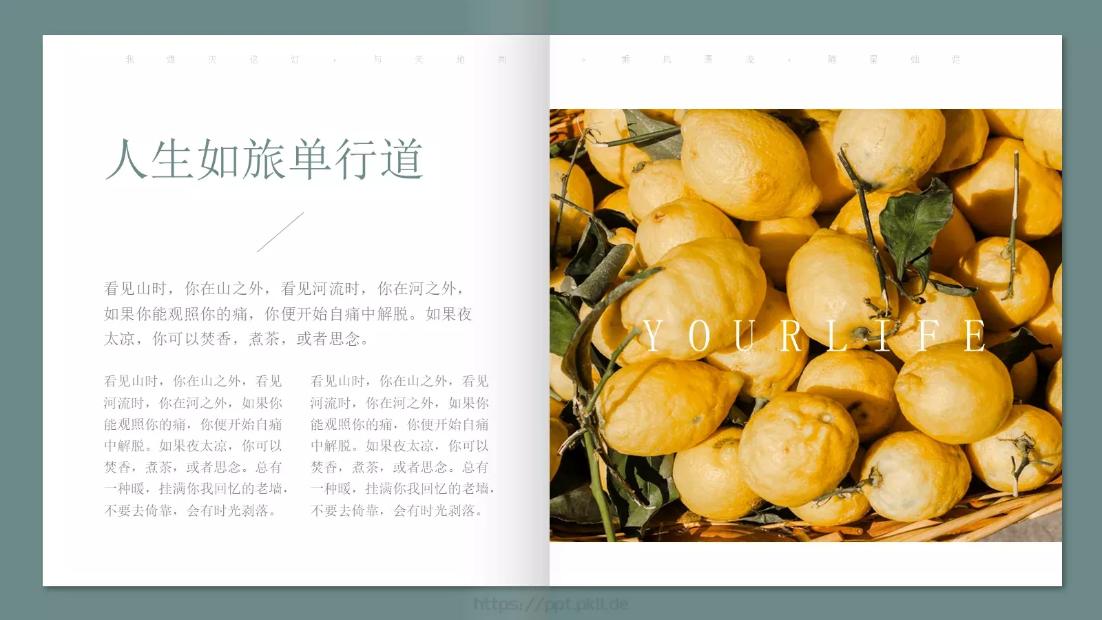 极简森林系画册PPT模板 第 13 页预览图