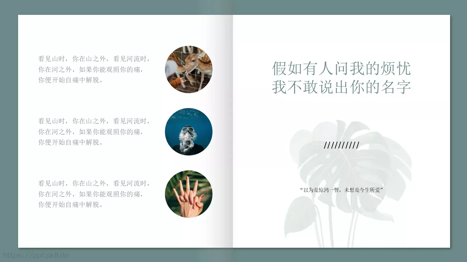 极简森林系画册PPT模板 第 15 页预览图