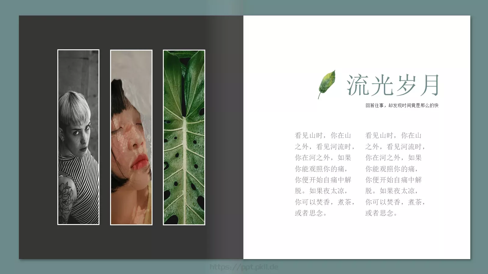 极简森林系画册PPT模板 第 14 页预览图