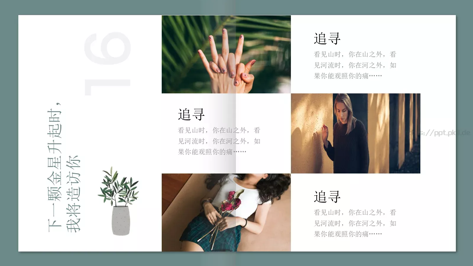 极简森林系画册PPT模板 第 16 页预览图