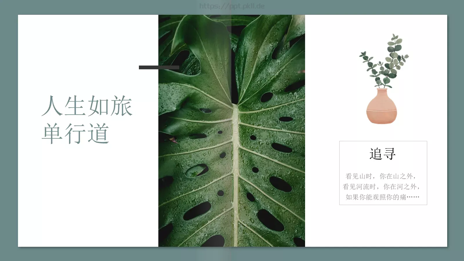 极简森林系画册PPT模板 第 18 页预览图