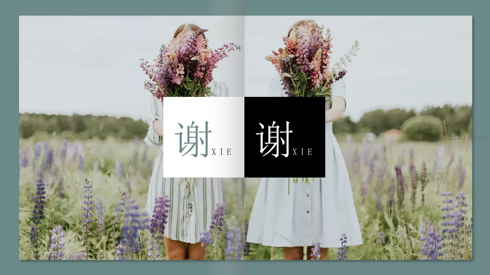 极简森林系画册PPT模板 第 20 页预览图