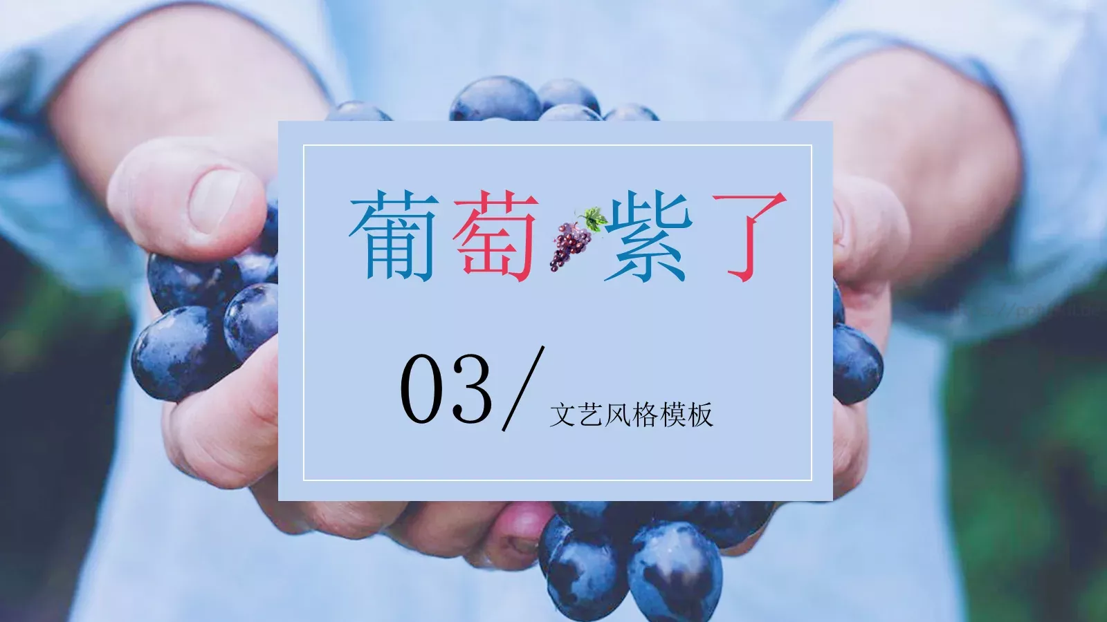 JT设计分享【引·文艺风象】清新文艺图文混排PPT模板 第 13 页预览图