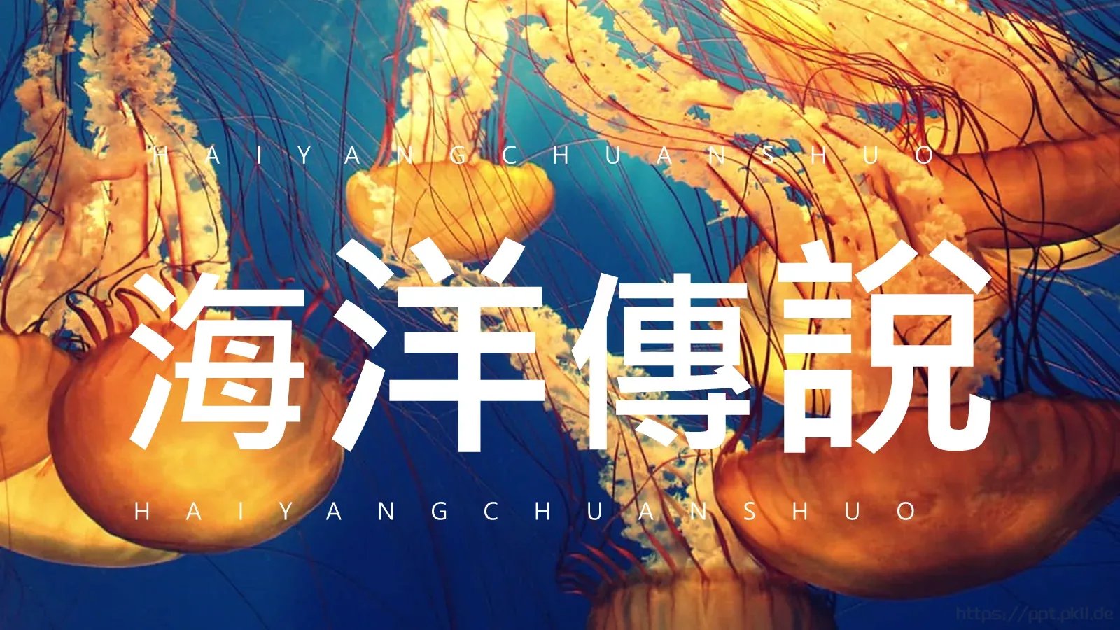 海洋传说图文混排文艺PPT模板 封面图