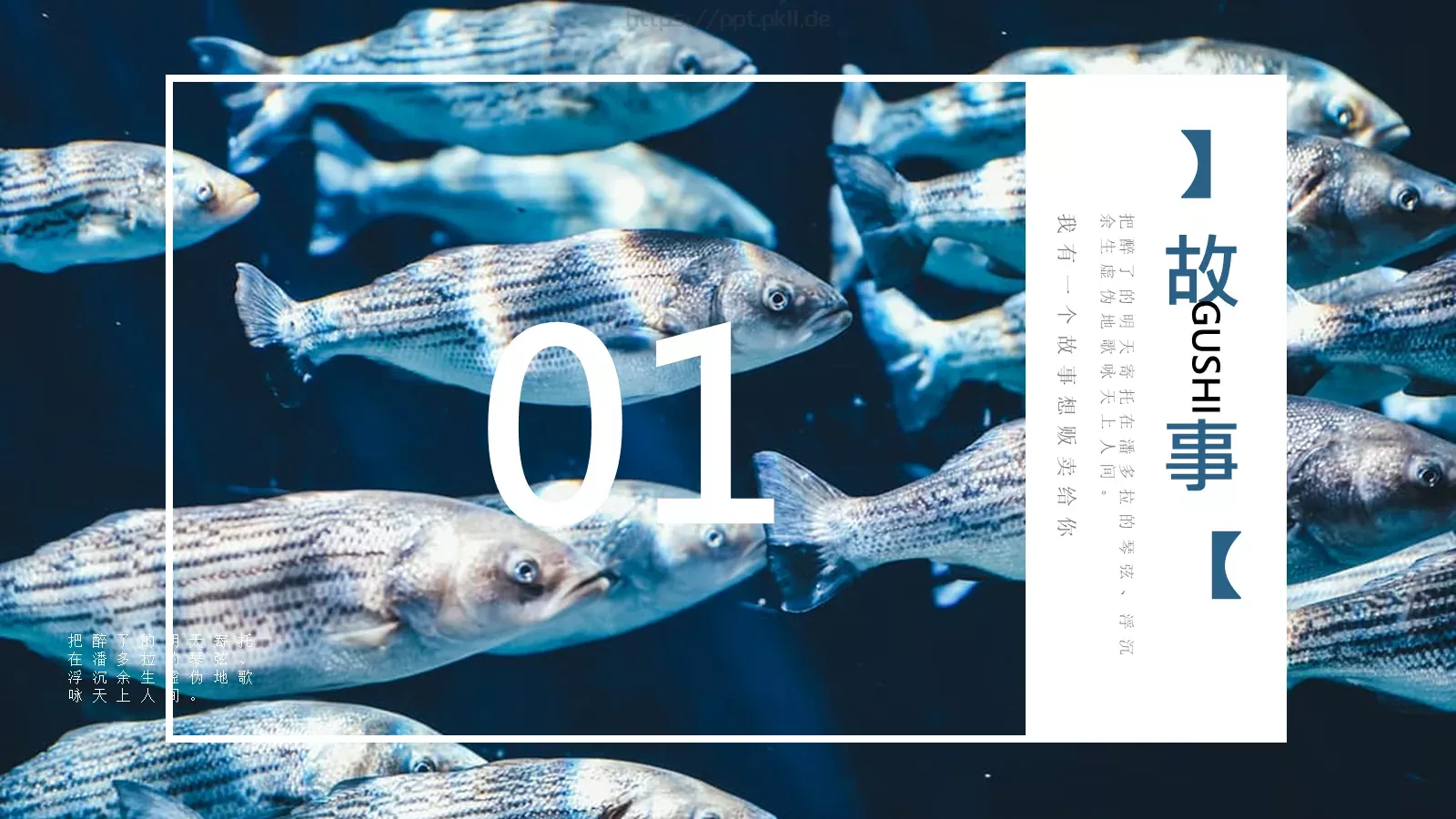 海洋传说图文混排文艺PPT模板 第 2 页缩略图