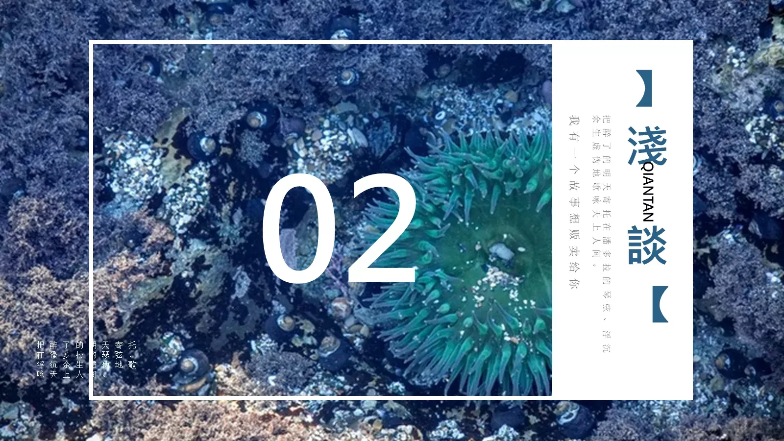 海洋传说图文混排文艺PPT模板 第 7 页预览图