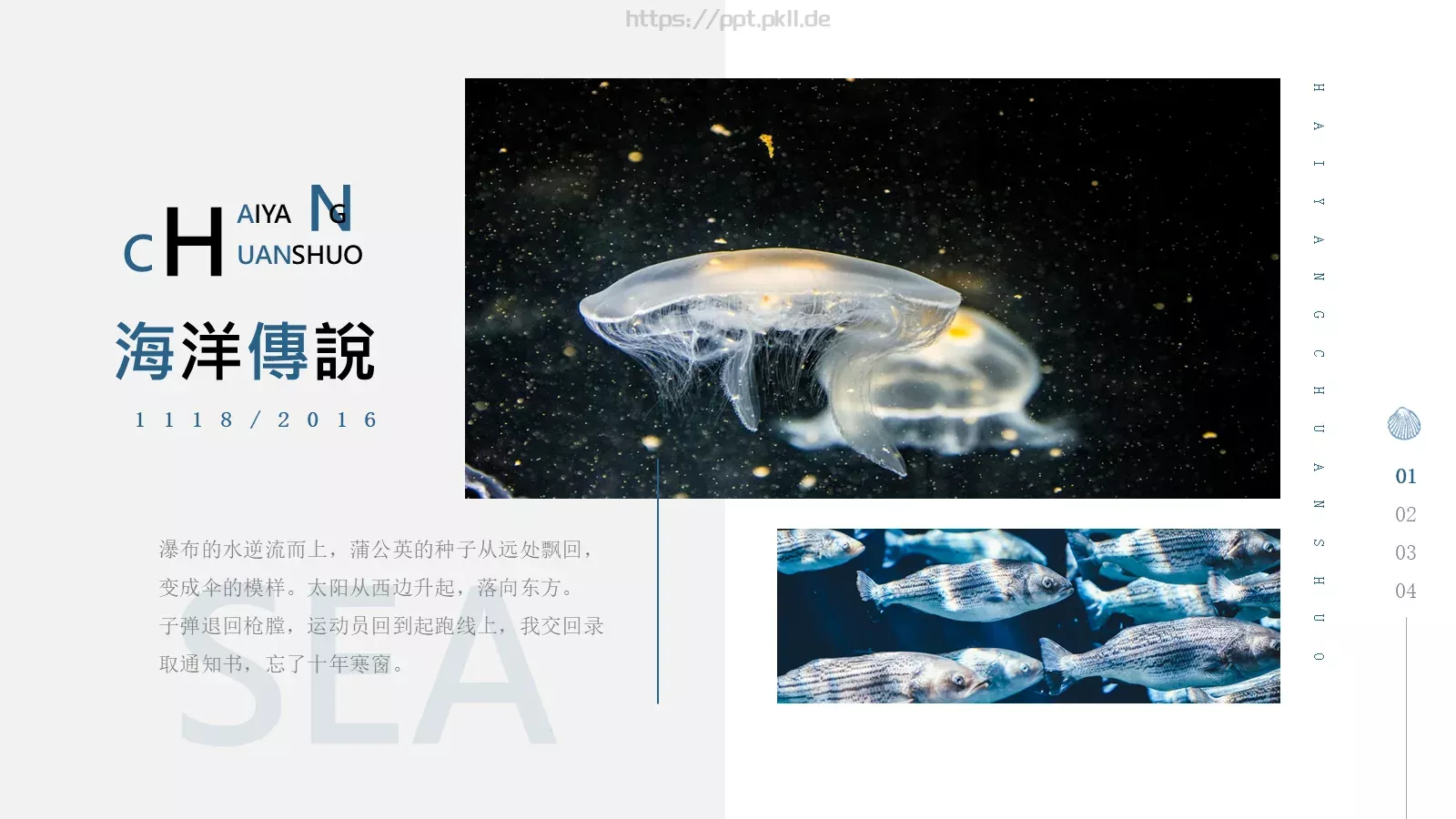 海洋传说图文混排文艺PPT模板 第 6 页预览图