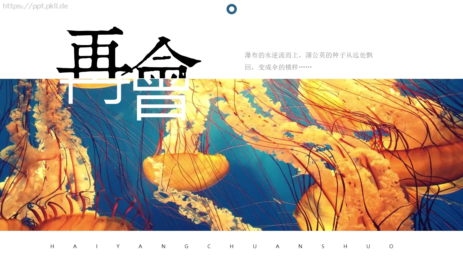 海洋传说图文混排文艺PPT模板 第 23 页预览图