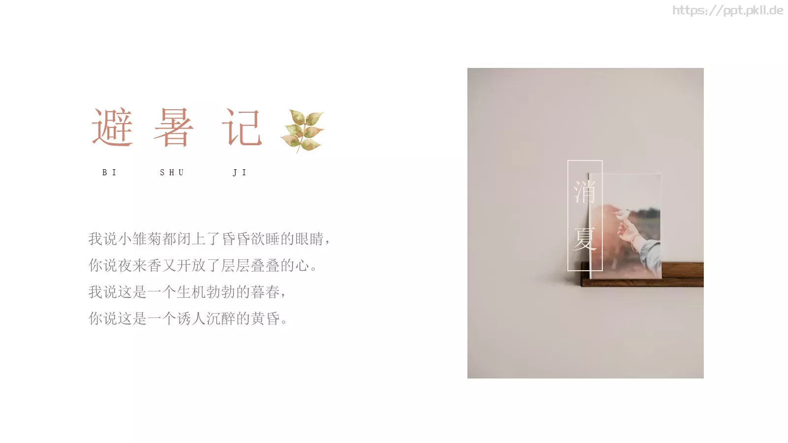 夏日小清新通用PPT模板 第 4 页缩略图