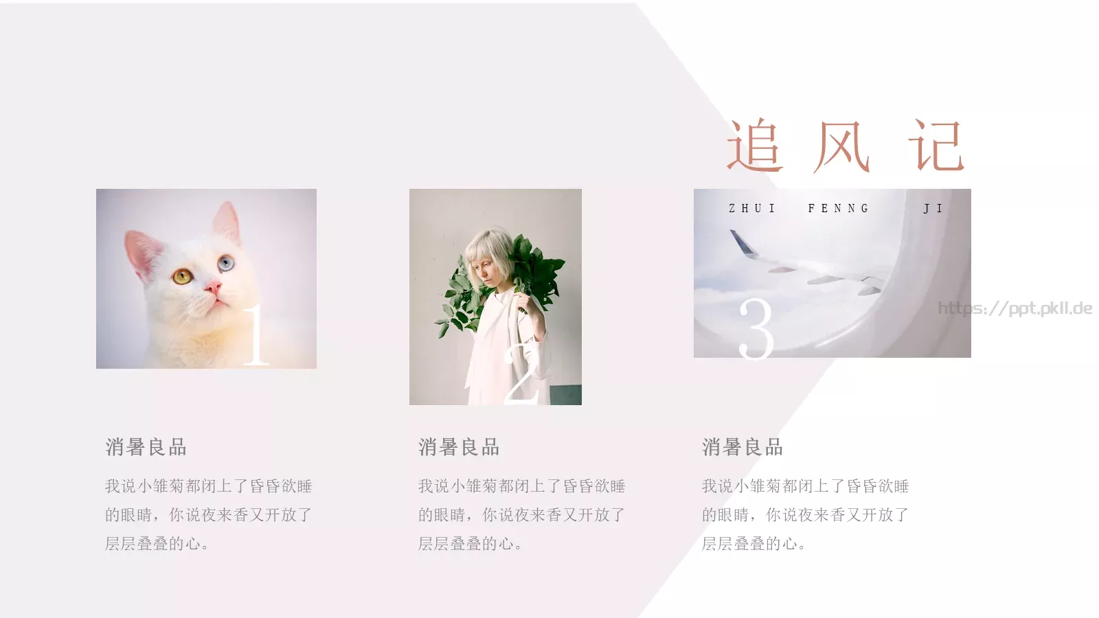 夏日小清新通用PPT模板 第 14 页预览图