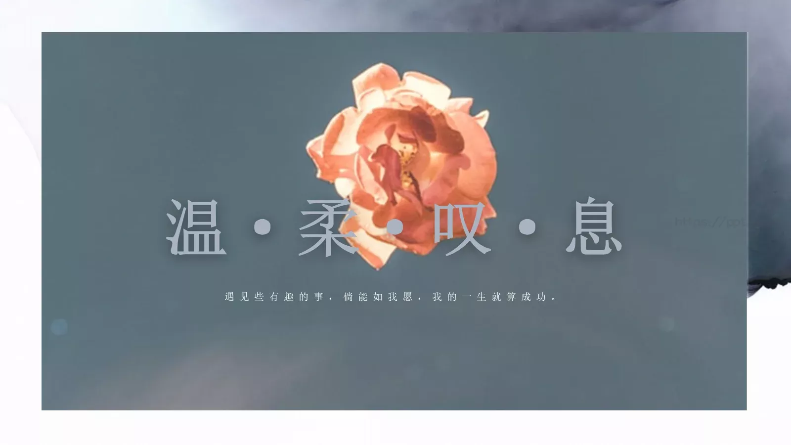 清新淡雅文艺通用PPT模板 封面图
