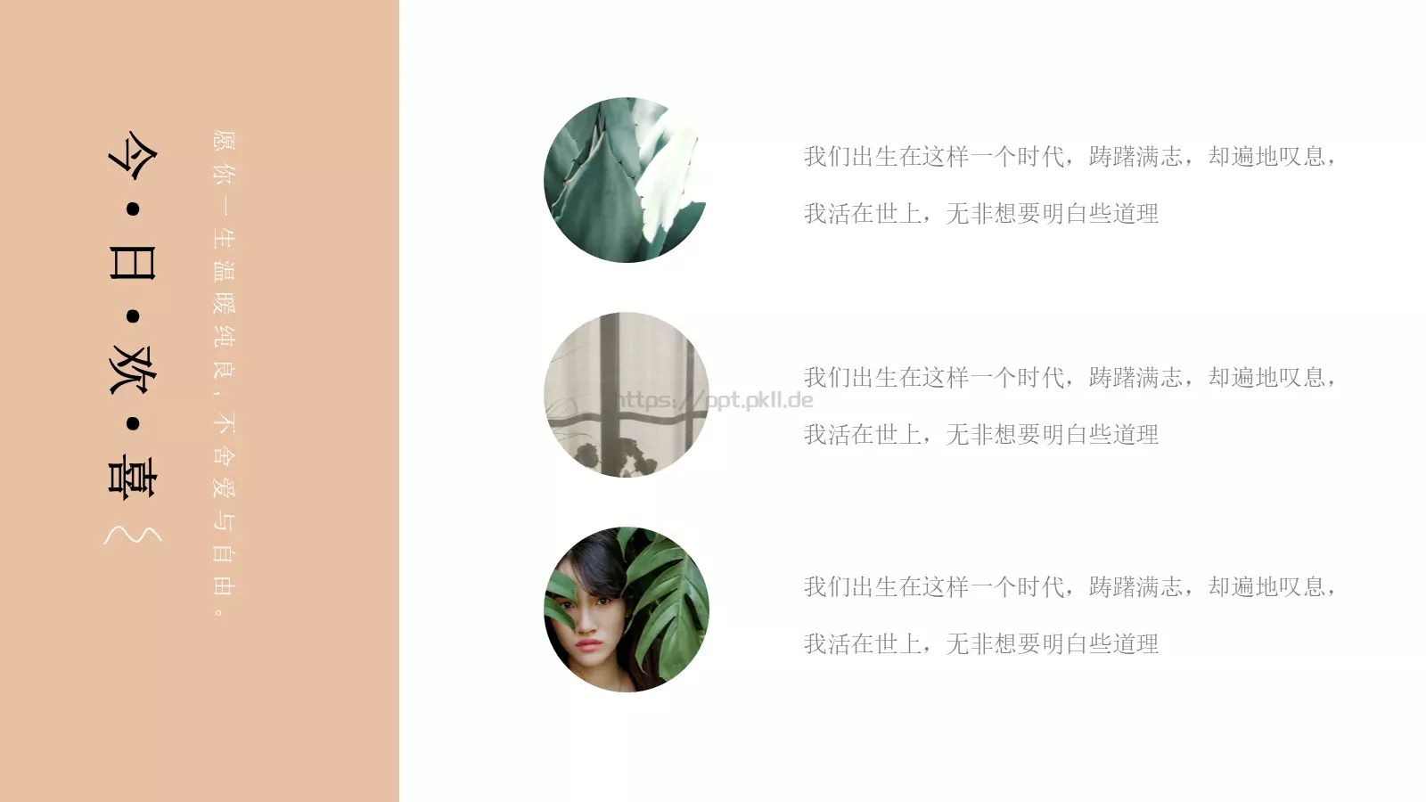 清新淡雅文艺通用PPT模板 第 11 页预览图