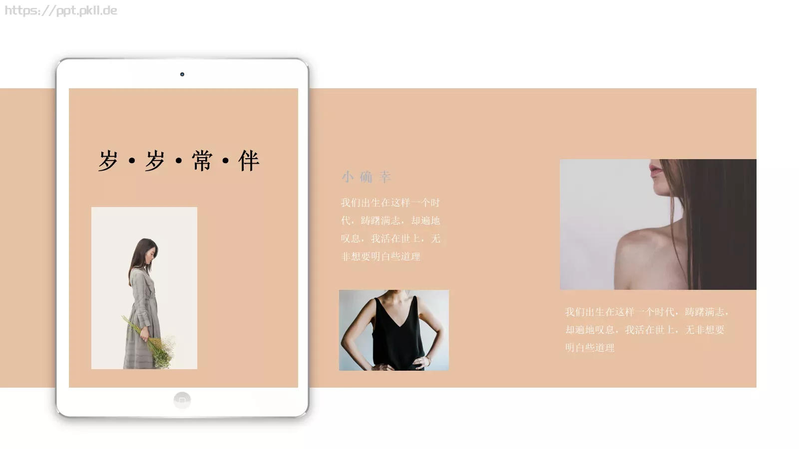 清新淡雅文艺通用PPT模板 第 22 页预览图