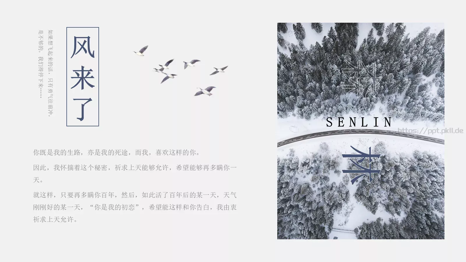 通用模板 第 14 页预览图