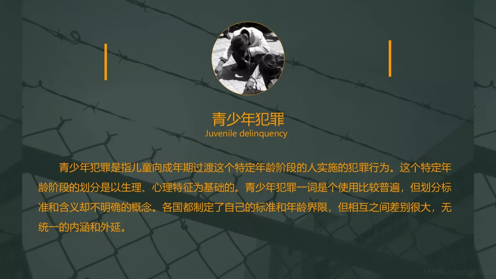 认识与预防青少年犯罪PPT模板 第 5 页预览图