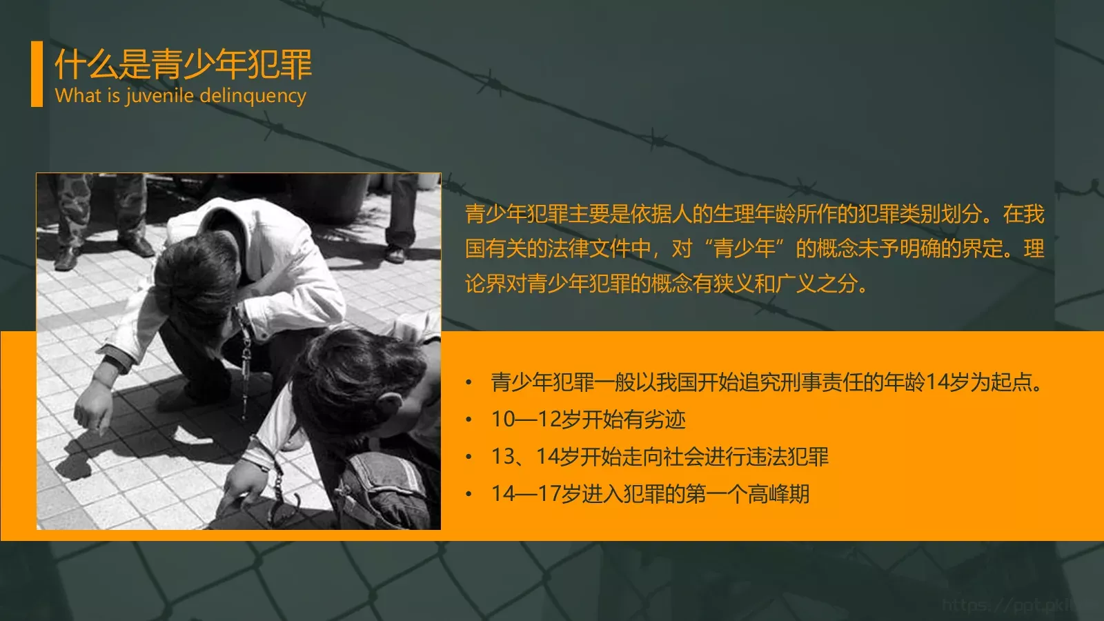 认识与预防青少年犯罪PPT模板 第 6 页预览图