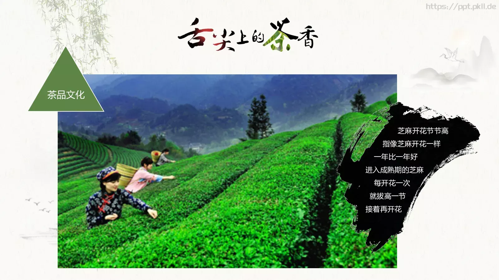 节日庆典清明节通用PPT模板 第 21 页预览图