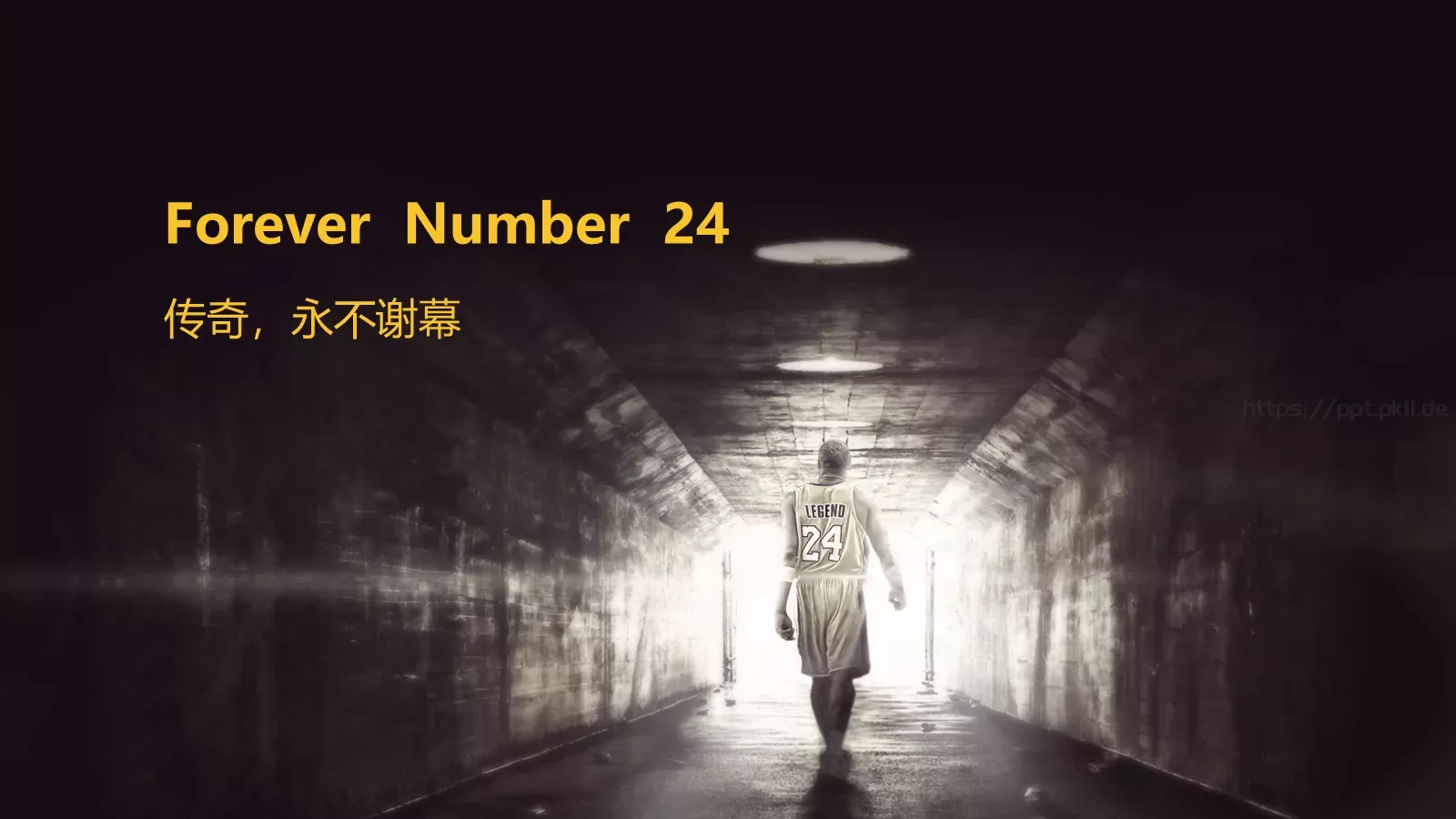 主题精选 (19PPT模板 第 19 页预览图