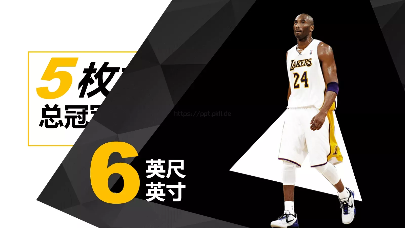 通用模板HO 第 6 页预览图