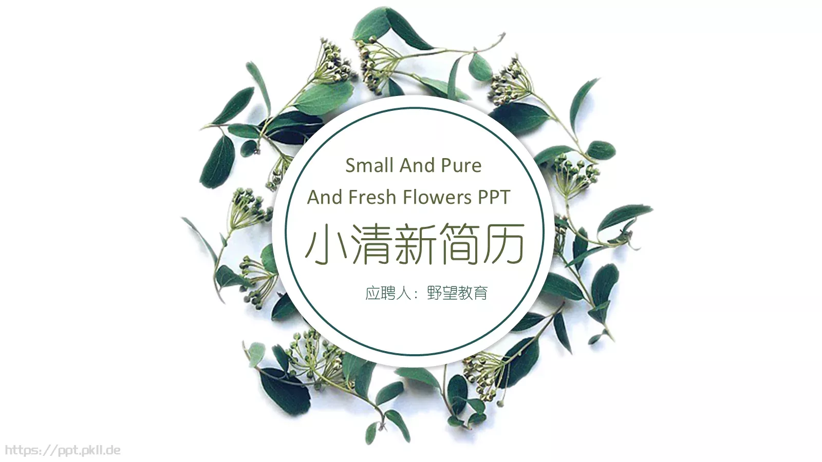 小清新个人简历PPT模板 封面图