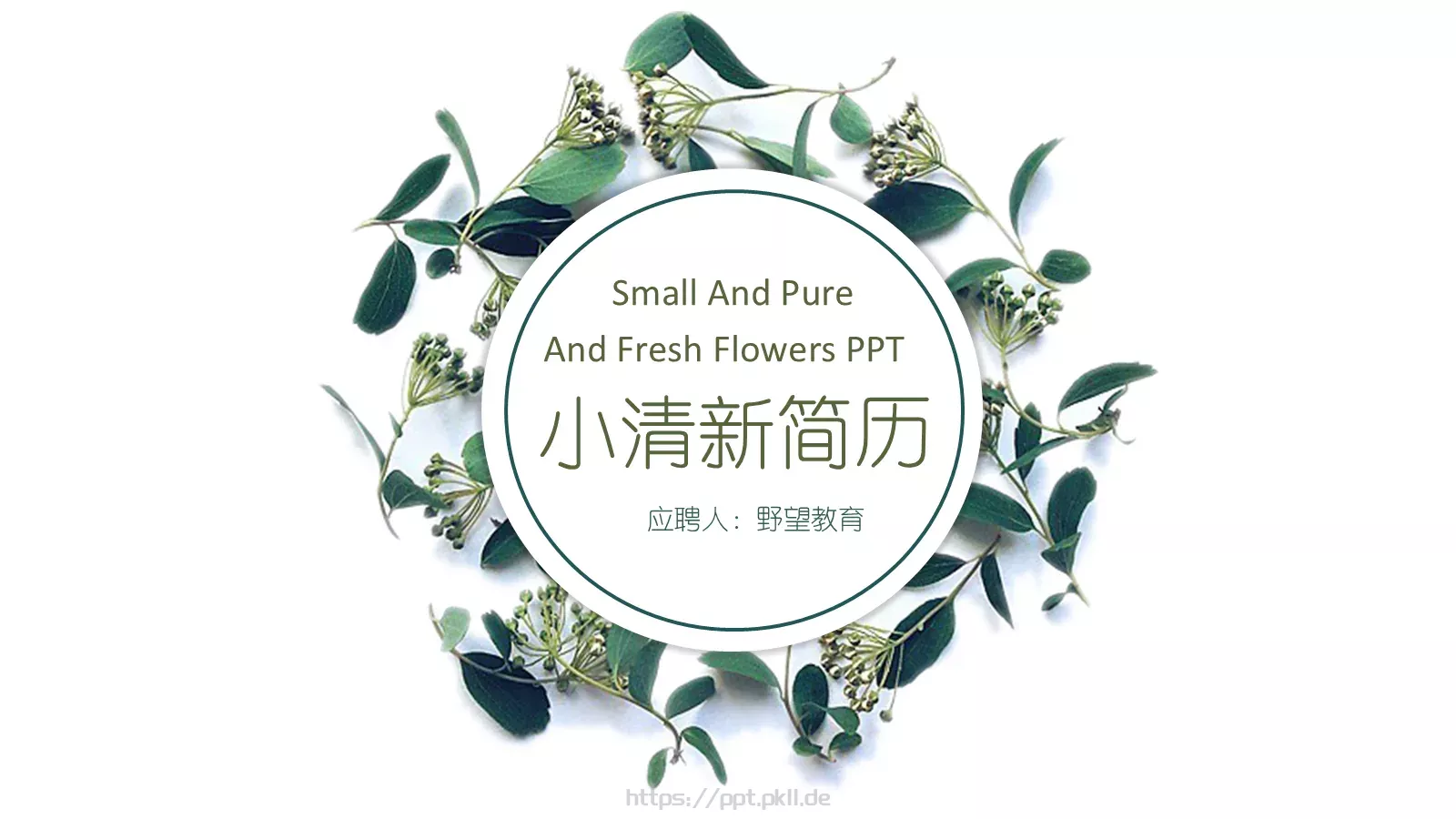 小清新个人简历PPT模板 第 1 页缩略图