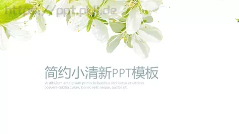 通用模板简约小清新 缩略图