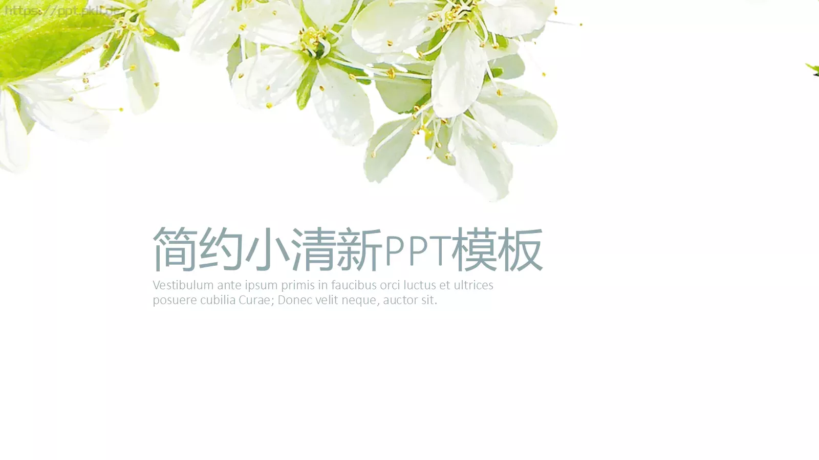 通用模板简约小清新 封面图