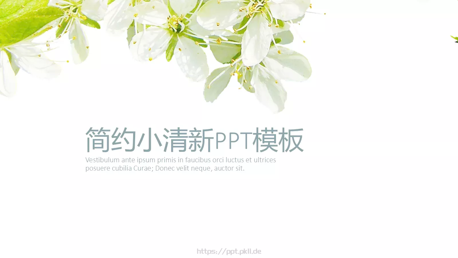 通用模板简约小清新 第 1 页缩略图