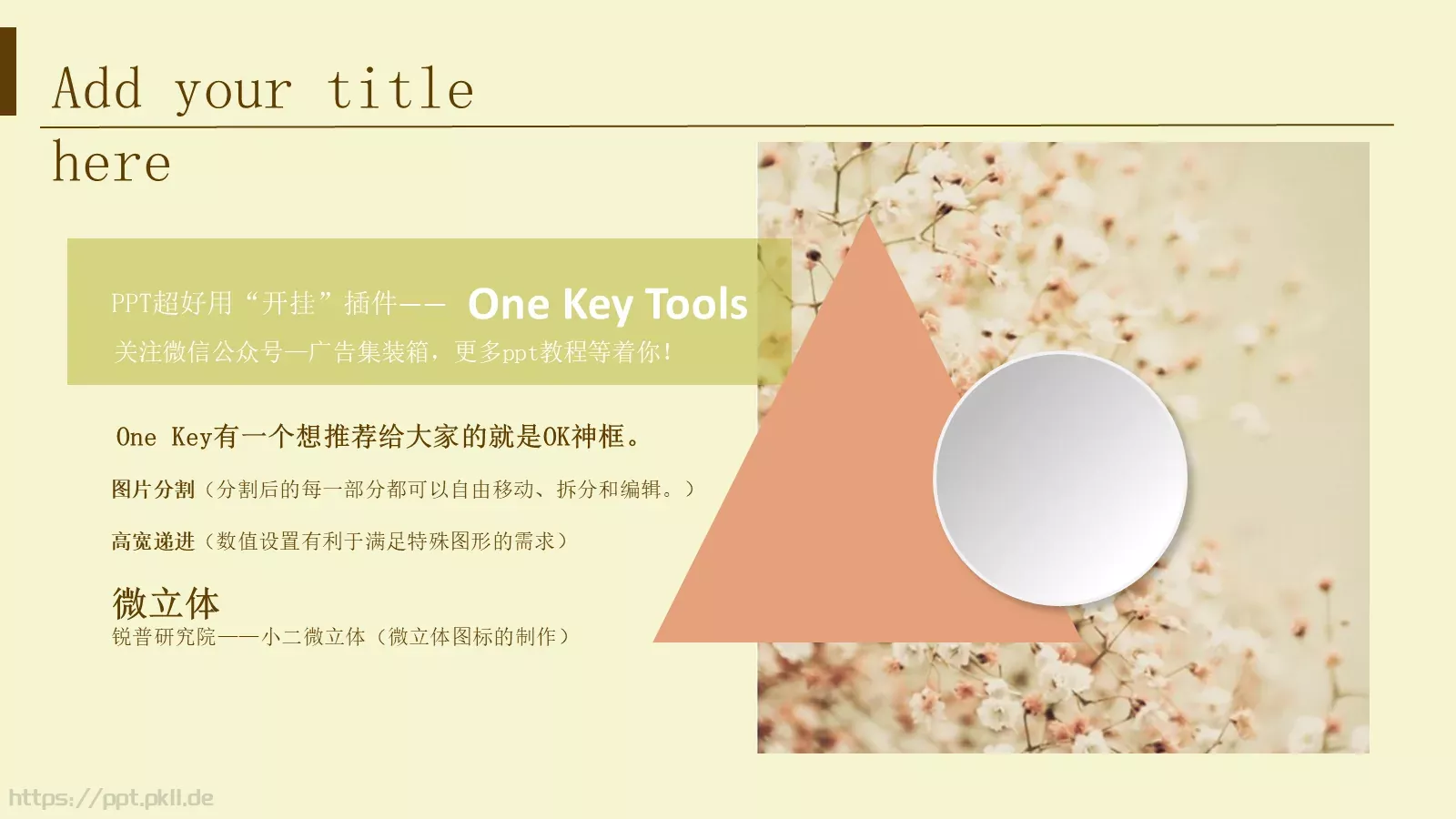 通用模板文艺唯美花卉 第 10 页预览图