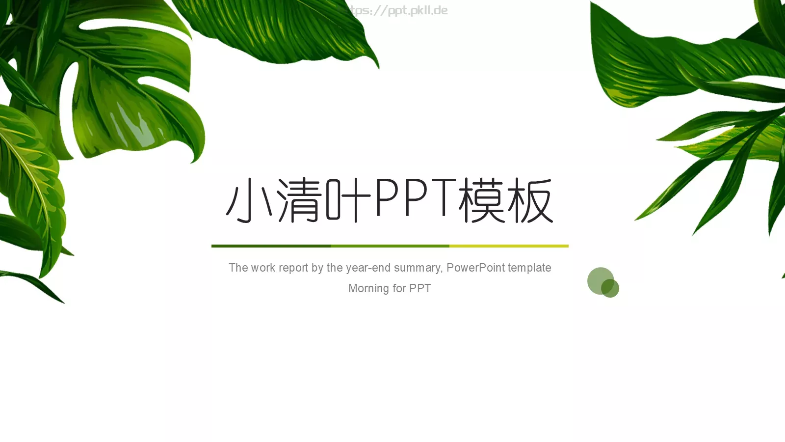 小清叶通用PPT模板 封面图