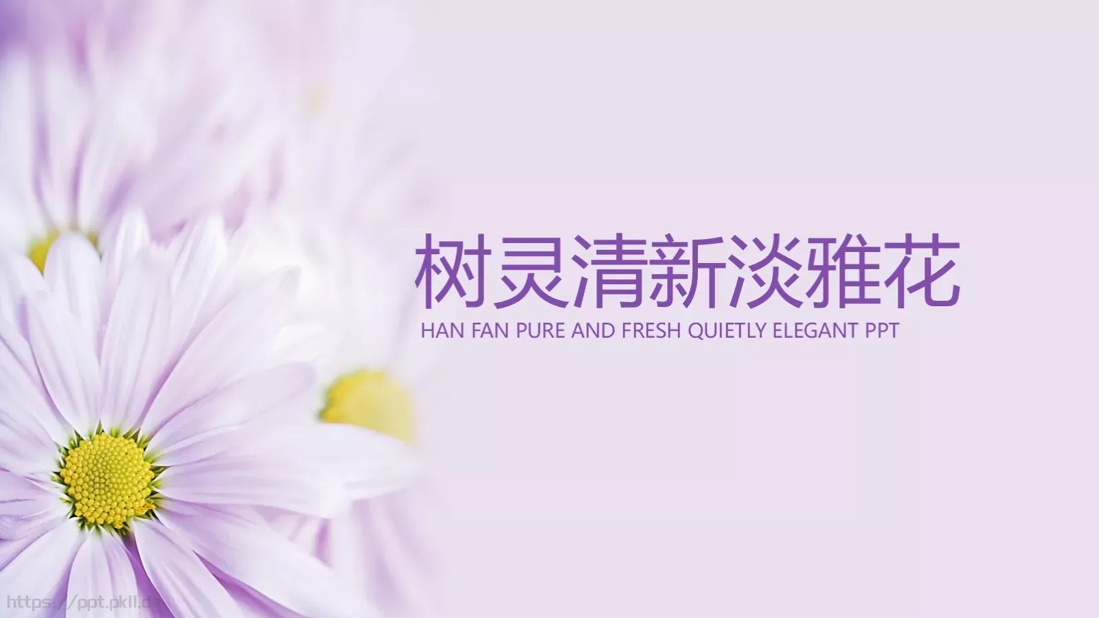 清新淡雅花工作计划PPT模板 封面图