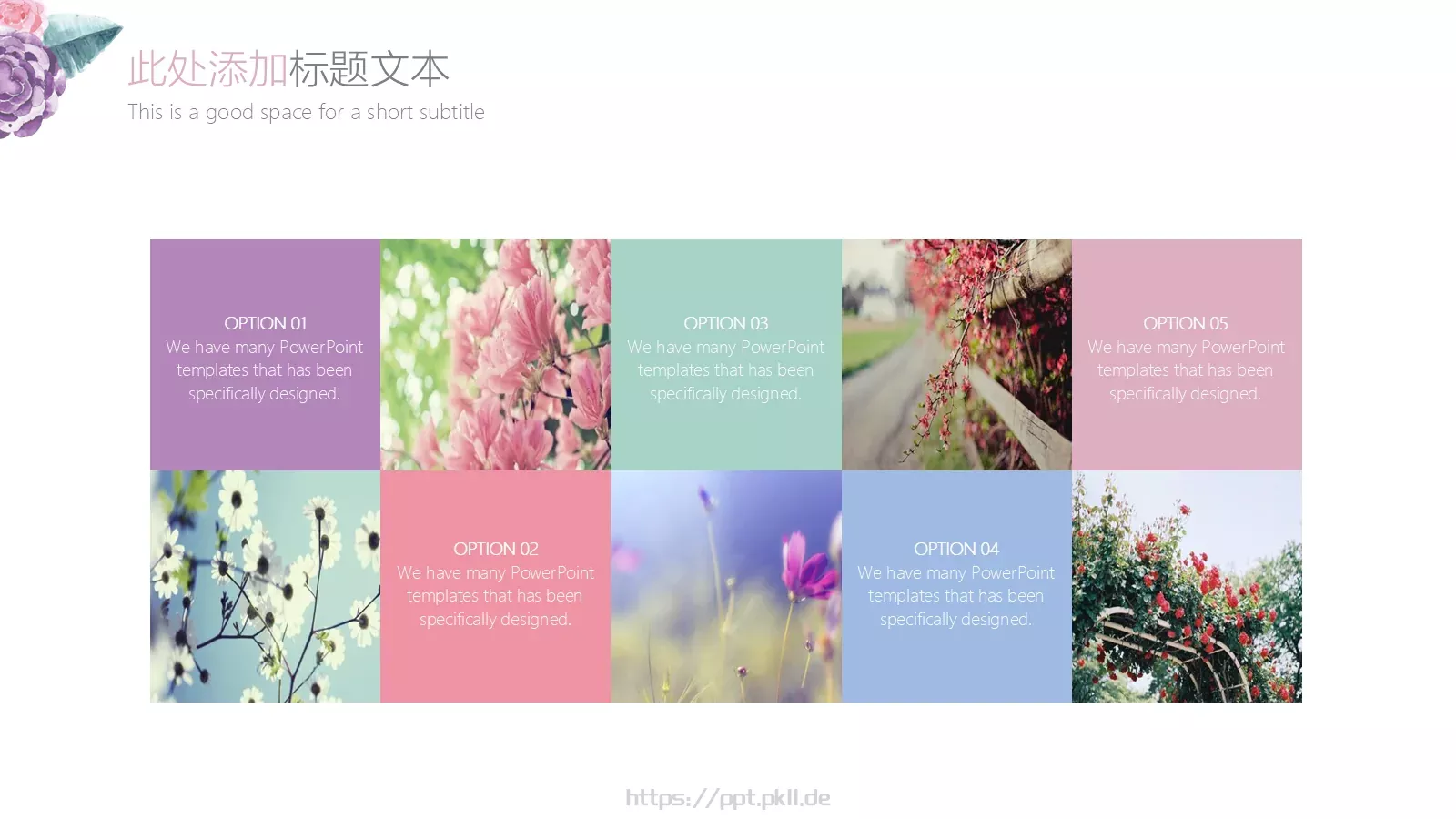 文艺花卉工作汇报PPT模板 第 7 页预览图