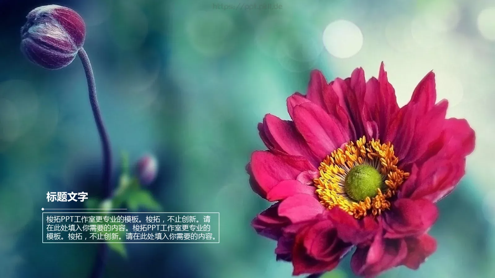 与梦偕行 寻找更好的自己PPT模板 第 18 页预览图