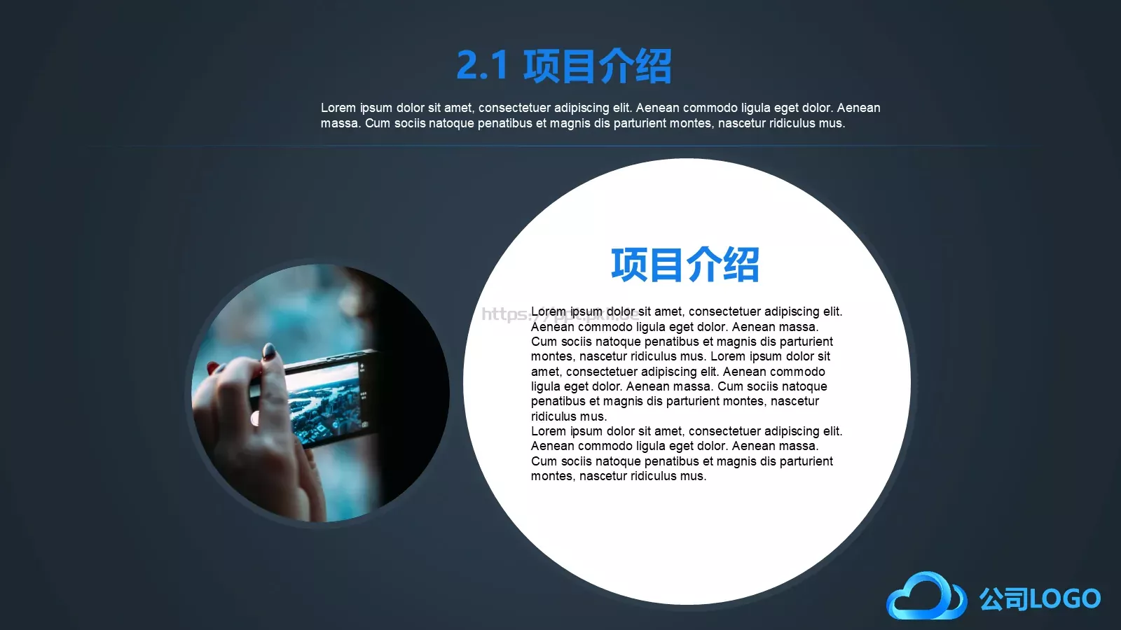 商业计划书PPT模板 第 9 页预览图