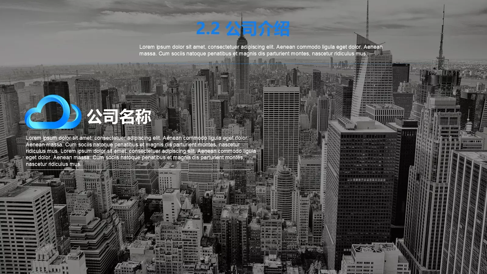 商业计划书PPT模板 第 10 页预览图