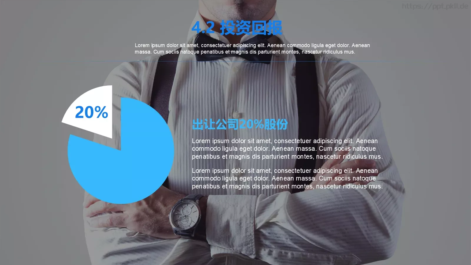 商业计划书PPT模板 第 19 页预览图