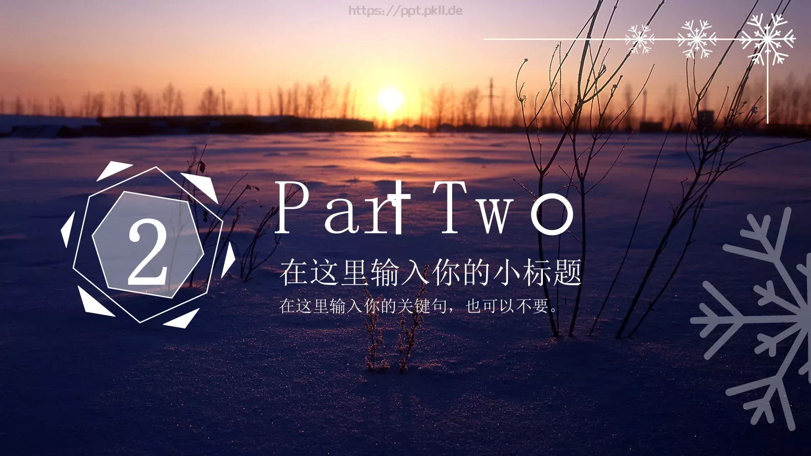 雪花风格商务汇报PPT模板 第 7 页预览图